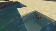 Tadpoles grown from a frogspawn in Minecraft (Image via Mojang)